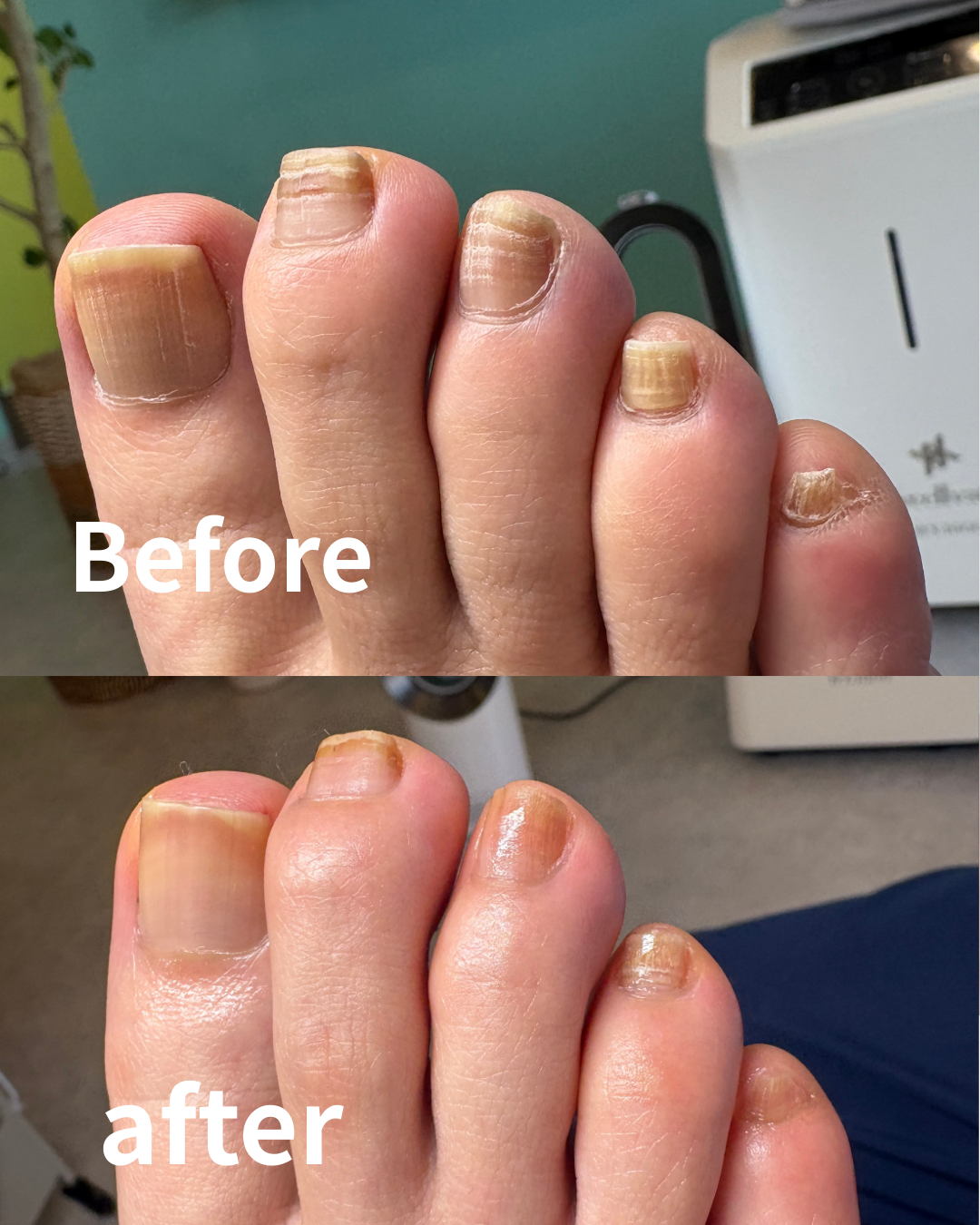 名称未設定 (Instagramの投稿(45)).png